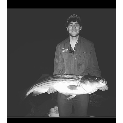 Shipping Where You Need It