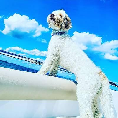 Shipping Where You Need It