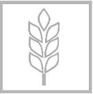 Screen Shot 2022-09-12 at 9.56.53 AM.png