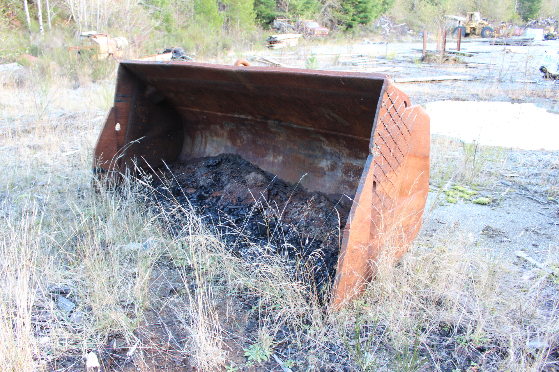 PAST AUCTION- B & L Forest Products Ltd- Gold River Sawmill 