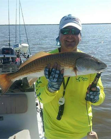 Darin Johnson, Sales Manager