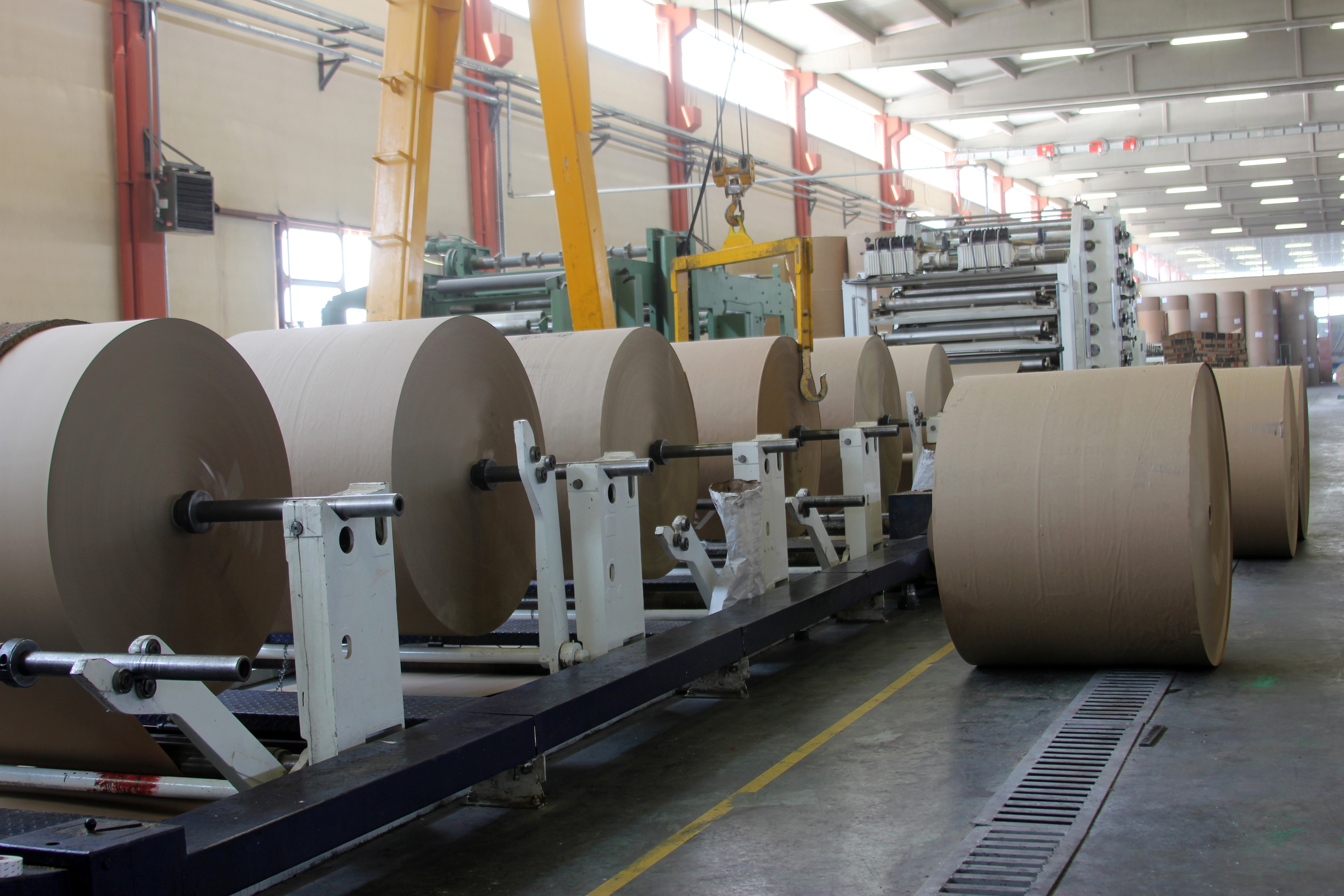 Paper Sack for sale at Steadfast Machinery Ltd