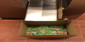 Lire la vidéo