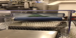Lire la vidéo