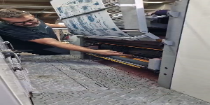 Riproduci video