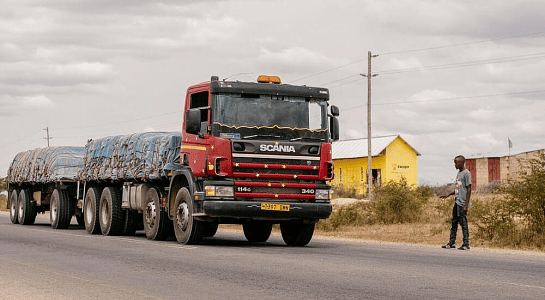 Export and Shipping Specialist