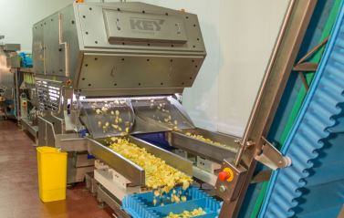 Optyx® Sorters Maximize Product Quality at Tayto