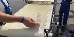 Odtwórz nagranie wideo