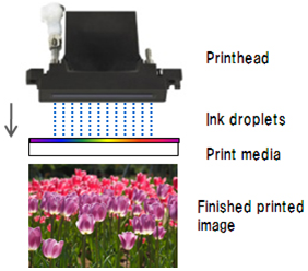 Digital Printing Process