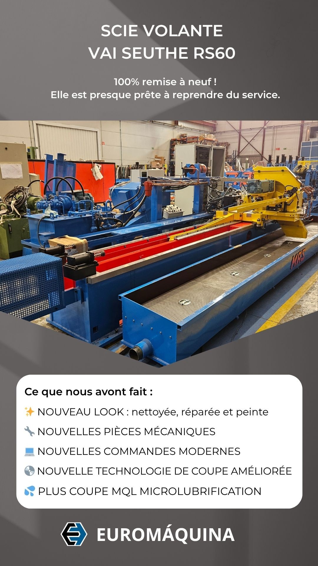 Nouvelle vie pour notre scie volante VAI SEUTHE RS60