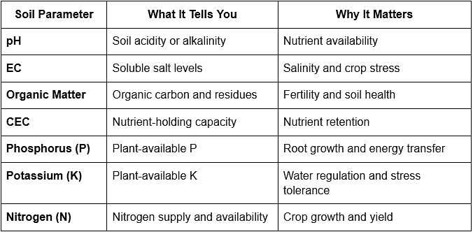What Every Agricultural Scientist Should Know About Key Soil Parameters 
