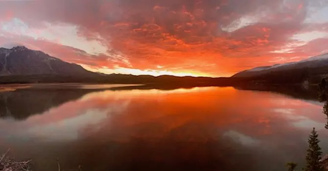 Response to Covid-19