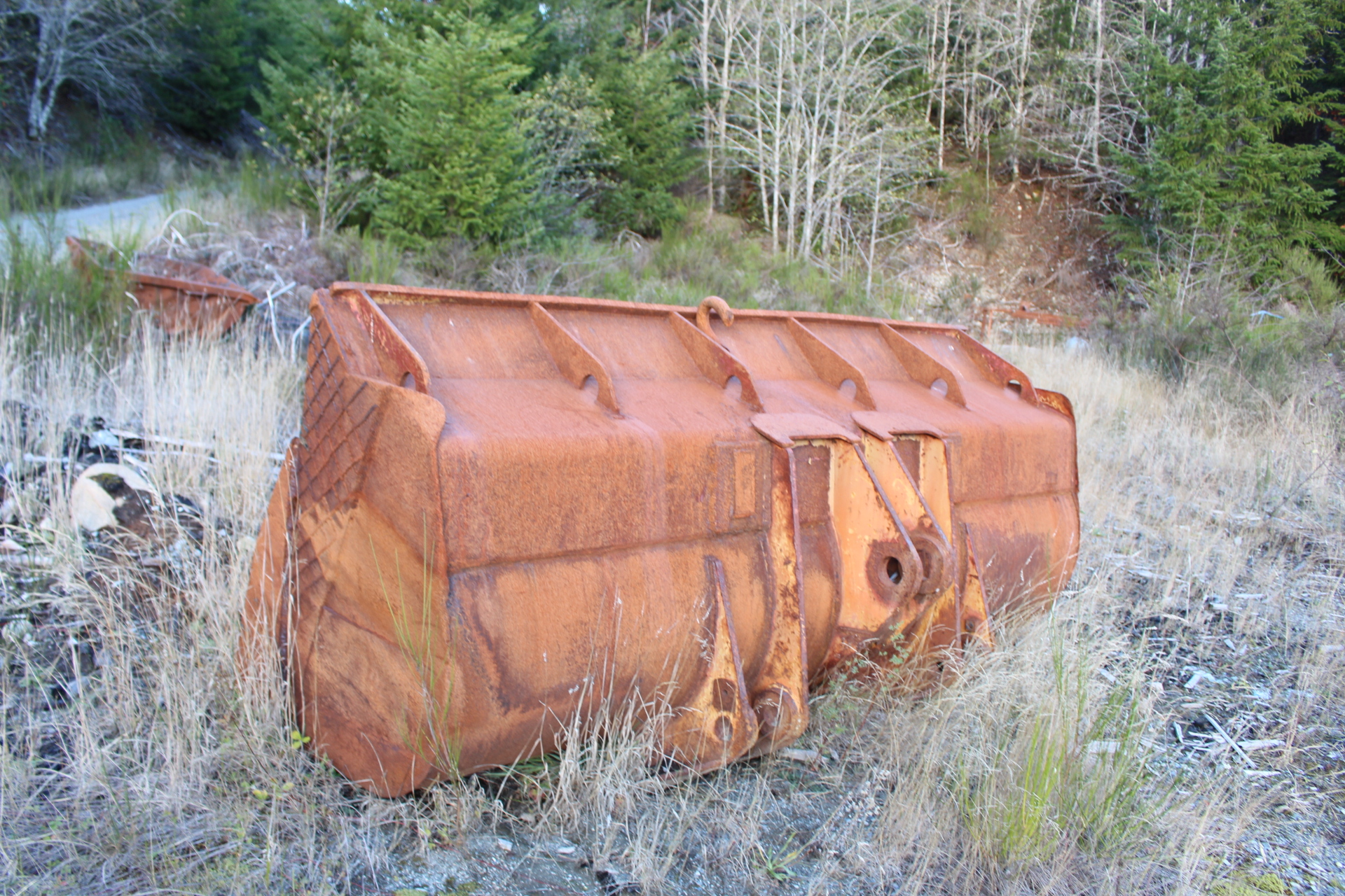 PAST AUCTION- B & L Forest Products Ltd- Gold River Sawmill 