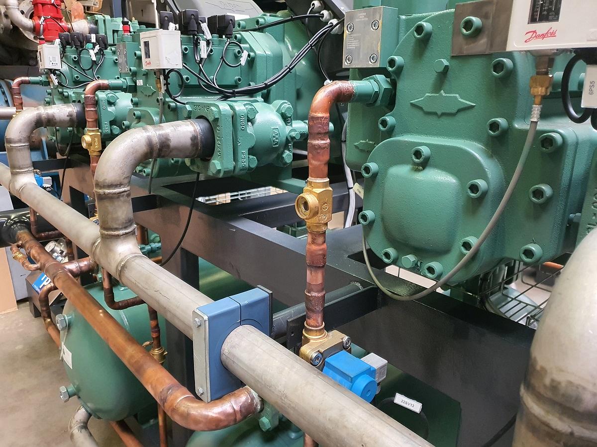 Freeze Storage - Saudi Arabia