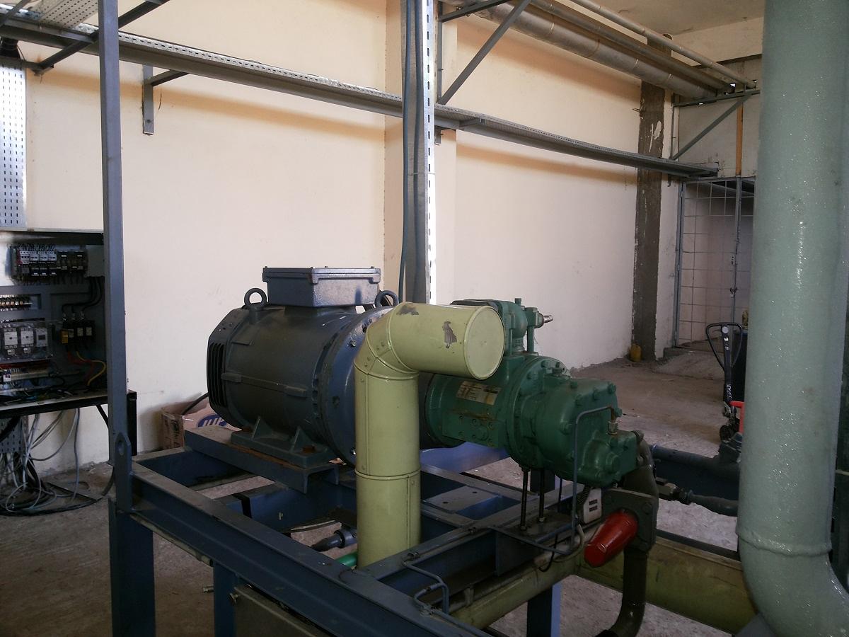 Orangenproduzent – Ägypten