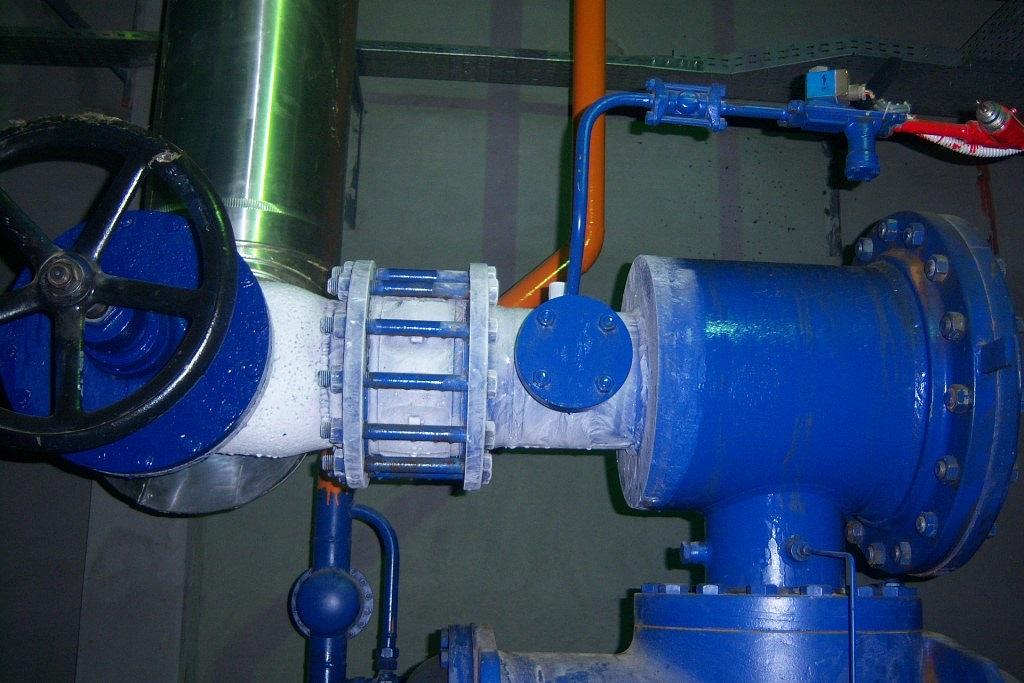 IQF Vegetables - Egypt