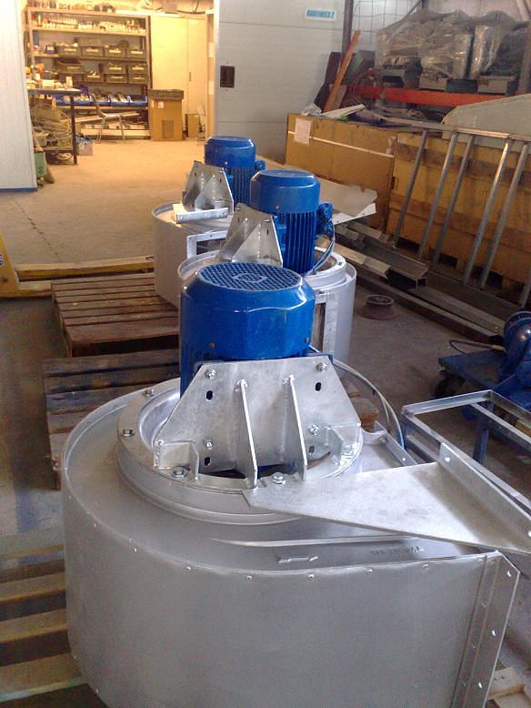 IQF Fruits and Vegetables - Egypt