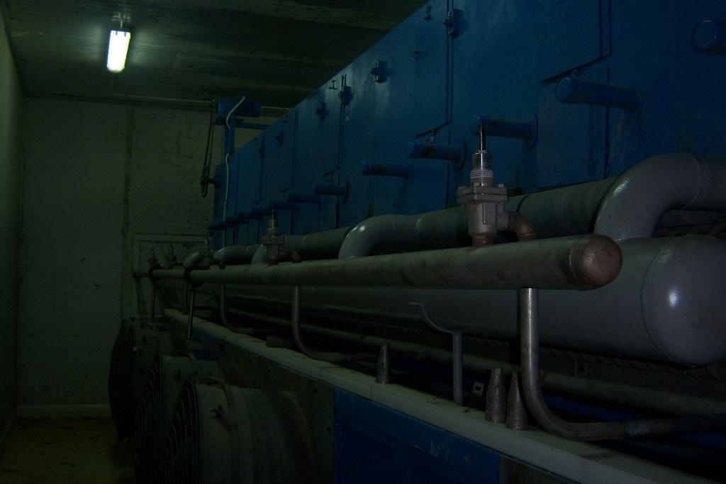 IQF Vegetables - Egypt