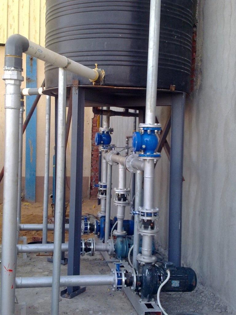 IQF Vegetables - Egypt