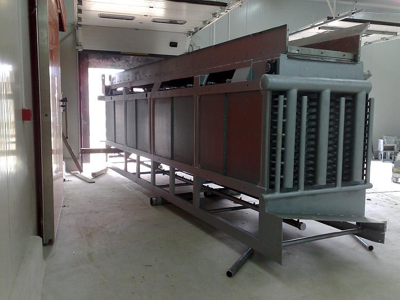 IQF Fruits and Vegetables - Egypt