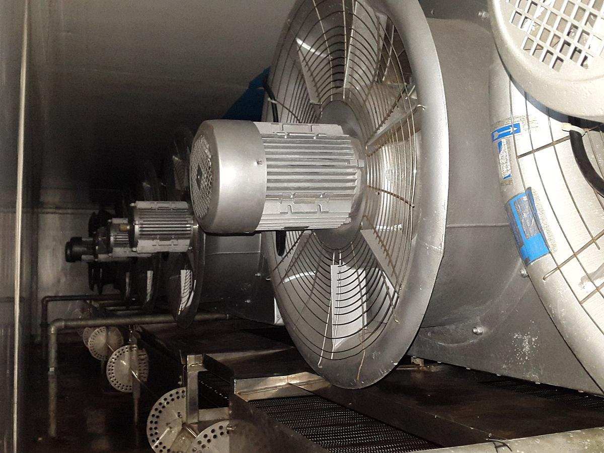 Fish Freezing - Indonesia