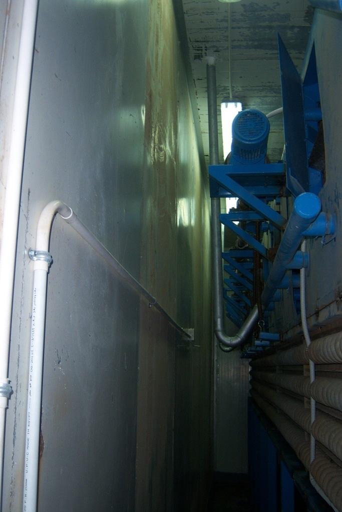 IQF Vegetables - Egypt