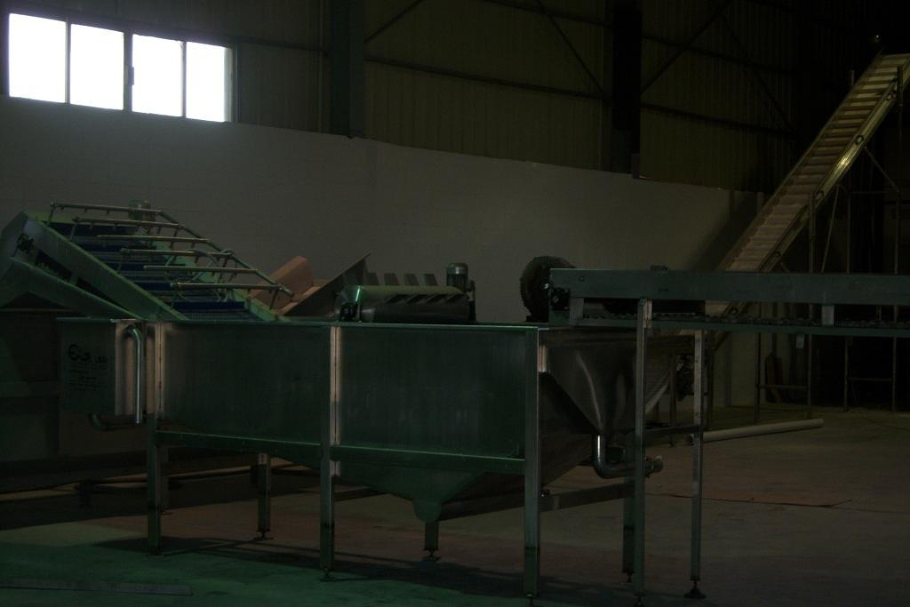 IQF Vegetables - Egypt