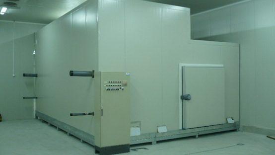 IQF Fruits and Vegetables - Egypt