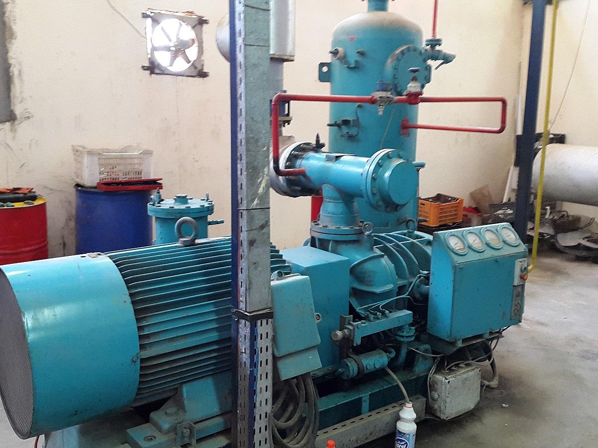 Orangenproduzent – Ägypten