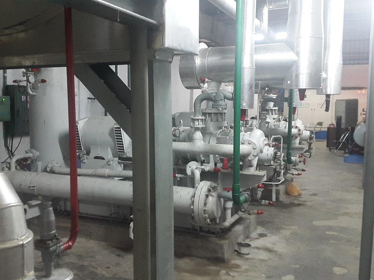 Fish Freezing - Indonesia