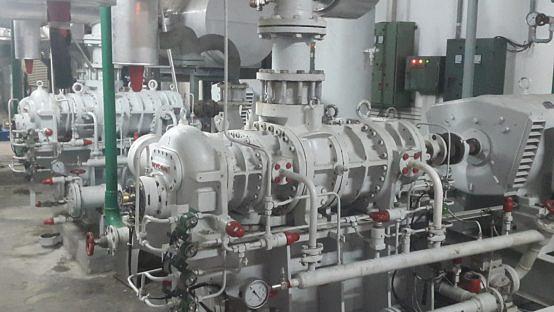 Fish Freezing - Indonesia