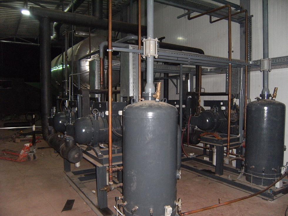 IQF Fruits and Vegetables - Egypt