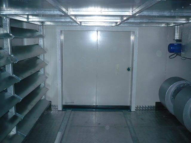 IQF Fruits and Vegetables - Egypt