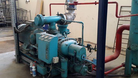 Oranges Producer - Egypt