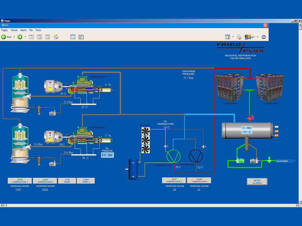 Orangenproduzent – Ägypten