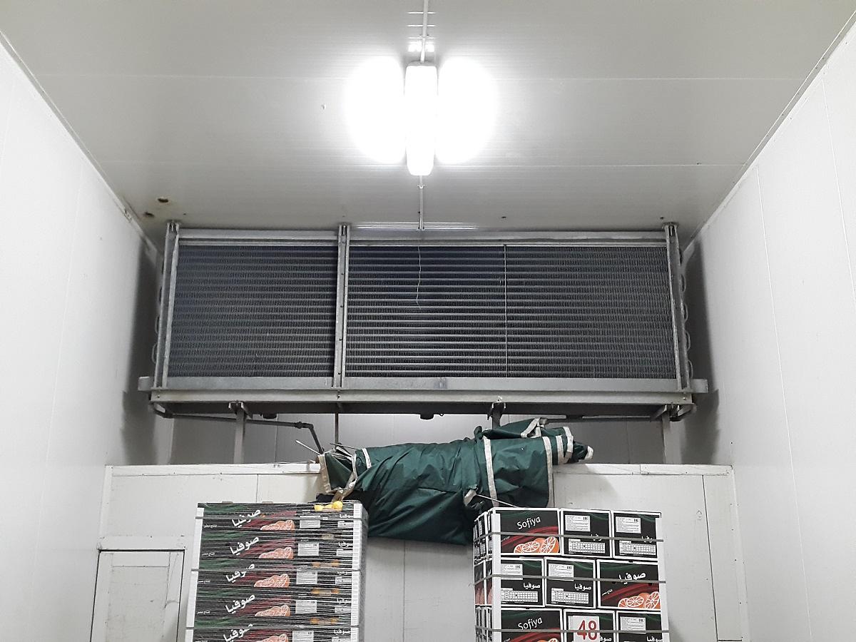 Orangenproduzent – Ägypten