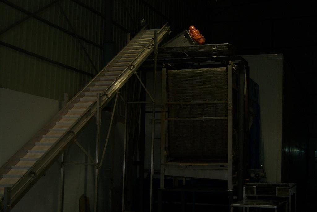 IQF Vegetables - Egypt