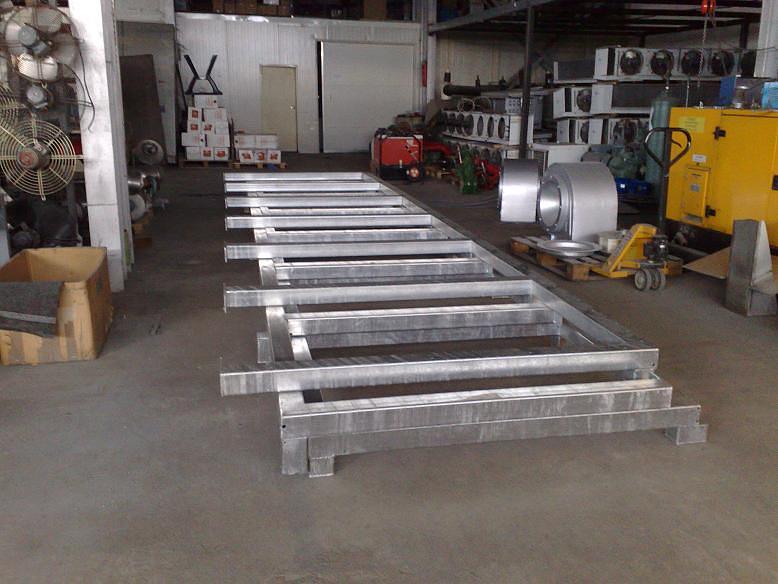 IQF Fruits and Vegetables - Egypt