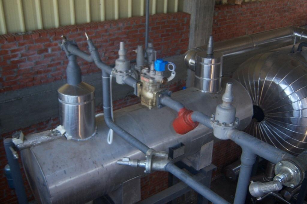 IQF Vegetables - Egypt