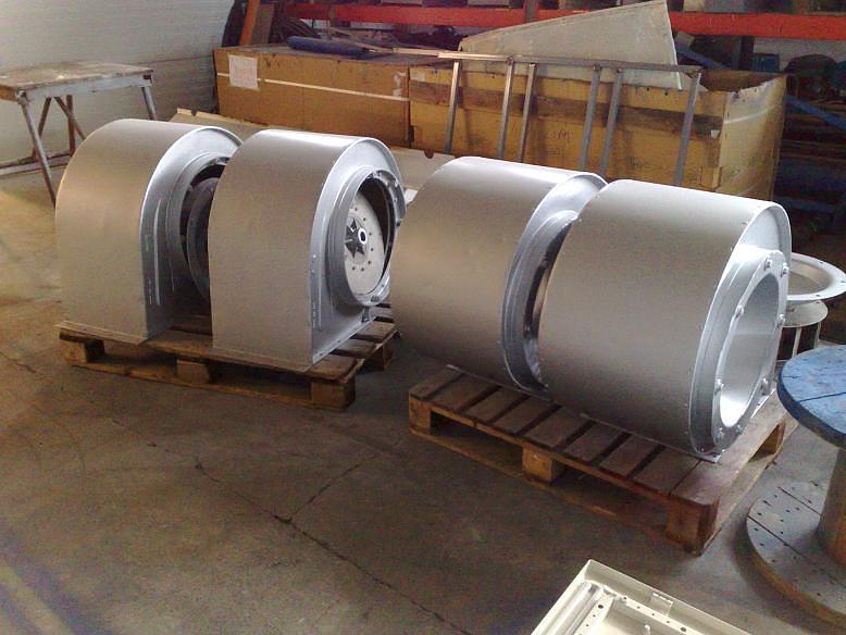 IQF Fruits and Vegetables - Egypt