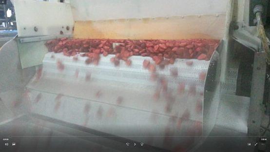 Strawberry Factory - Morocco