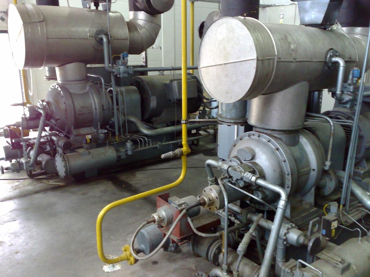 Animal Food Plant - Poland