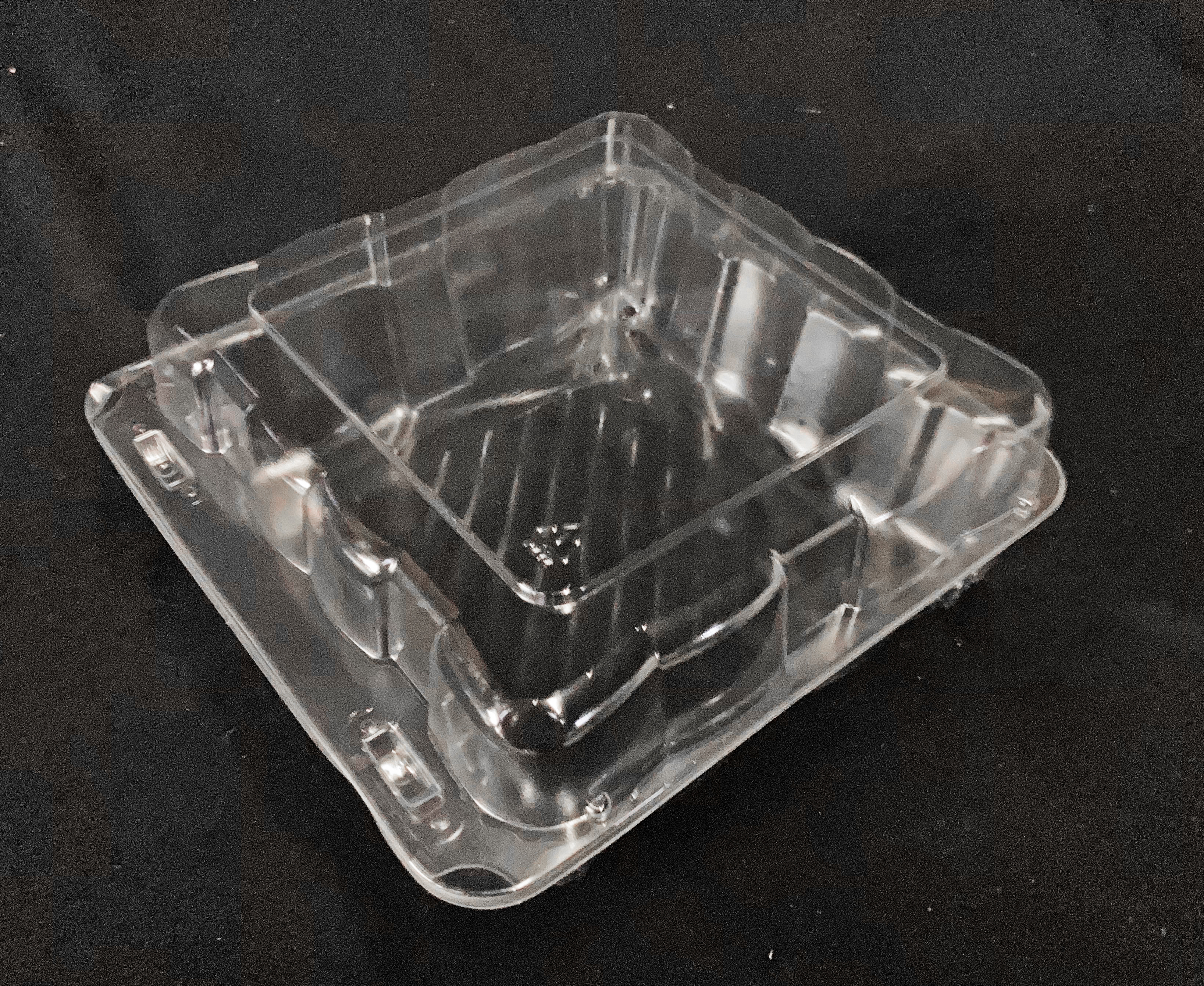 See-Through Plastic Food Containers -- Clamshell Display