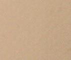 Tan fabric swatch