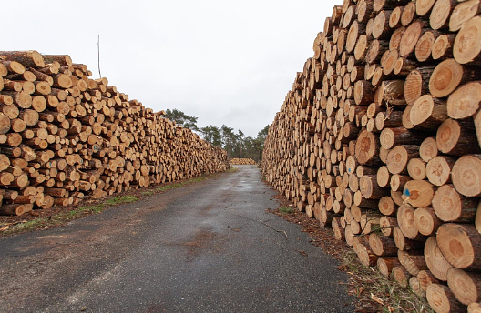 Technology in the Mill: Affordable Upgrades That Pay Off