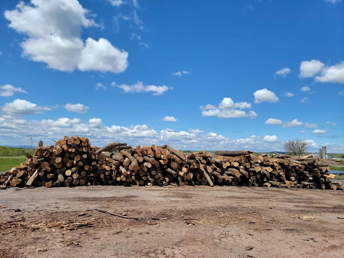 A KBY Sawmill: A Family Business Built to Last