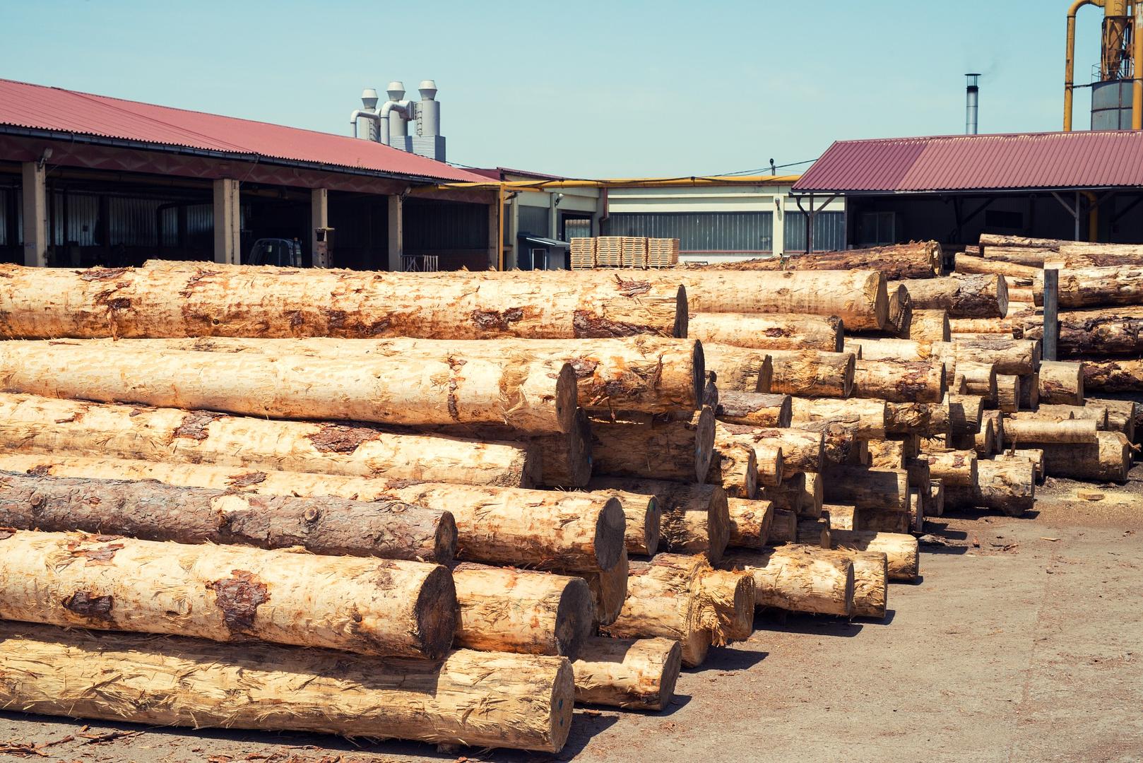 Navigating the 2025 Landscape: Sawmills, Forestry & Pallets