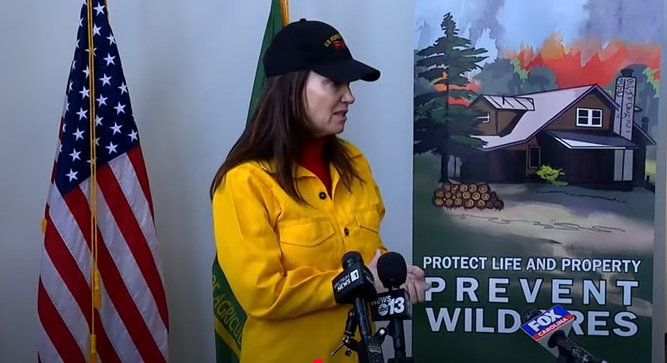 New Era in Forest Policy: Trump Administration Accelerates Timber and Wildfire Strategy