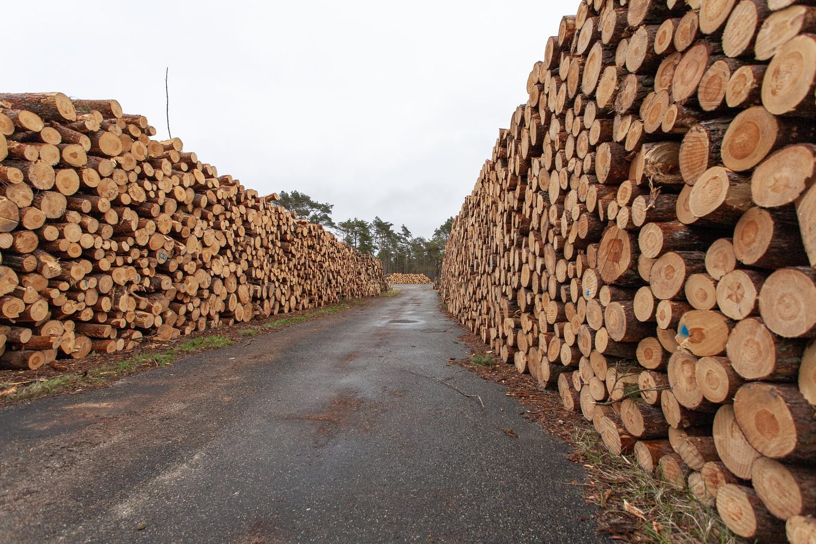 From Cleaning Fence Rows to Lumber Production: The Story of Esh Lumber