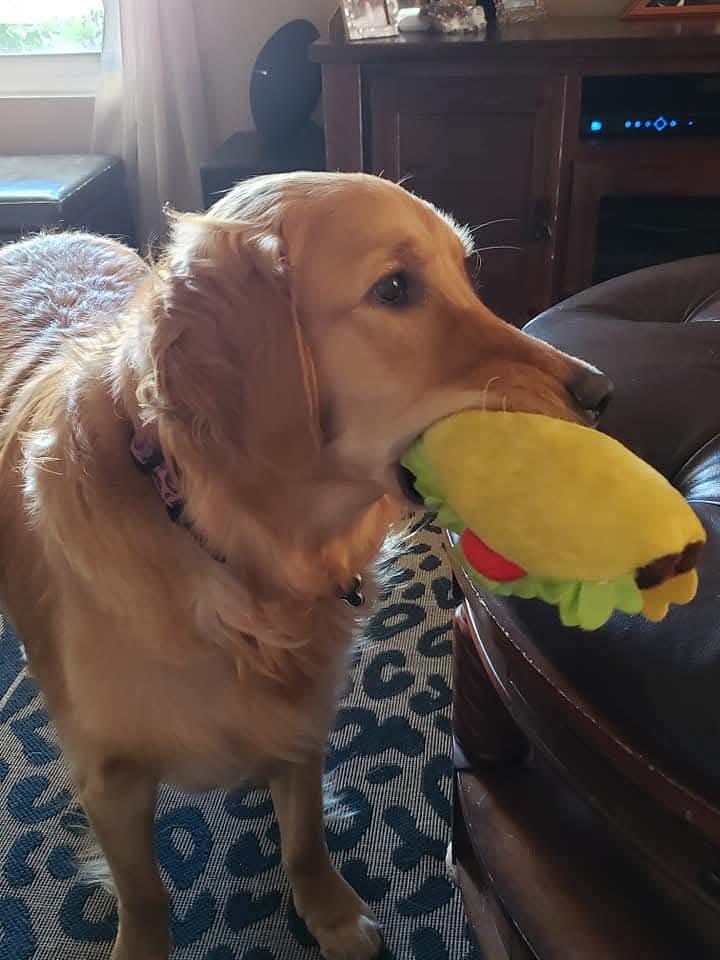 DOG DAYS OF SUMMER Contest WINNERS!